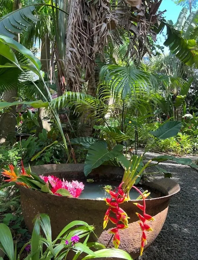 Beachfront Cozy Apt Gros-Islet 0*,  Saint Lucia