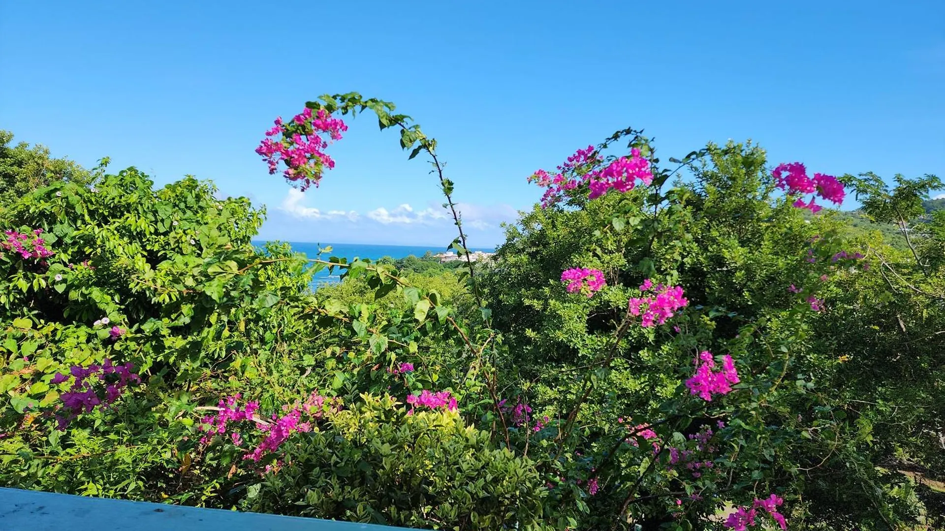 Apartment Beachfront Cozy Apt Gros Islet